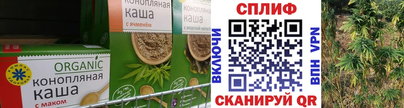 Купить закладки  Северская  Cannafood конопля 