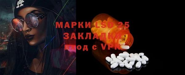 ГАЛЛЮЦИНОГЕННЫЕ ГРИБЫ Волосово