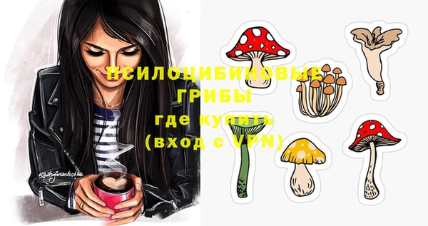 ГАЛЛЮЦИНОГЕННЫЕ ГРИБЫ Волосово