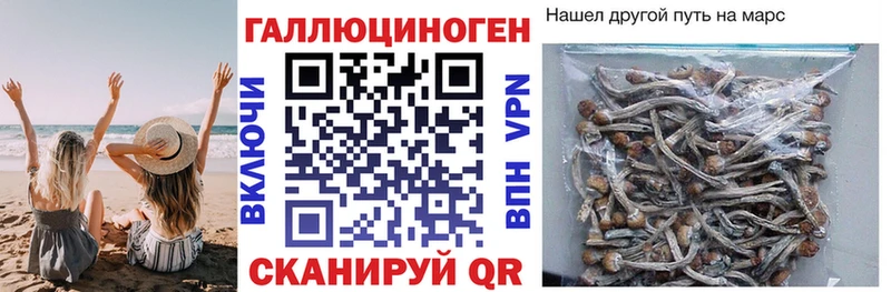 Псилоцибиновые грибы прущие грибы  Купить закладки  Северская 